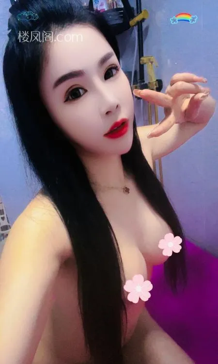 全国免费楼凤资源