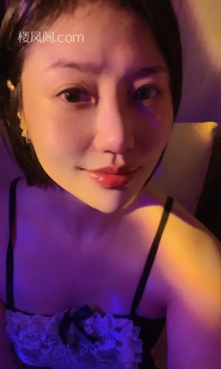 全国免费楼凤资源