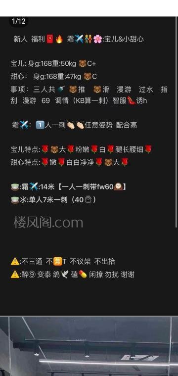 全国免费楼凤资源