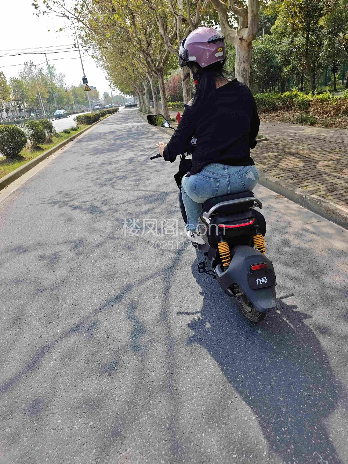 全国免费楼凤资源