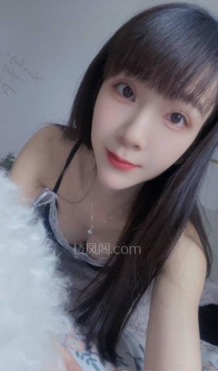 全国免费楼凤资源