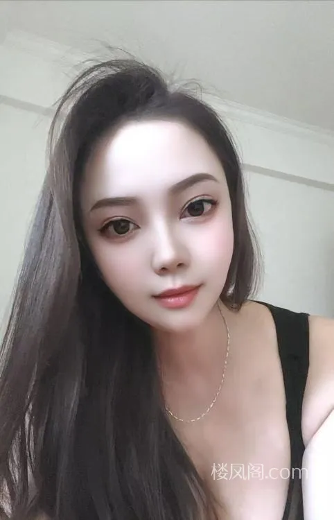 全国免费楼凤资源