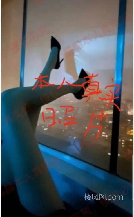 全国免费楼凤资源