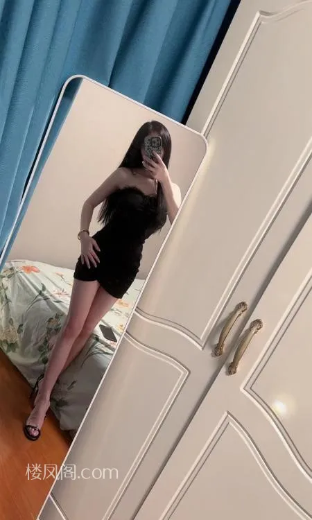 全国免费楼凤资源