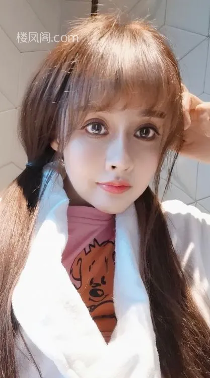 全国免费楼凤资源