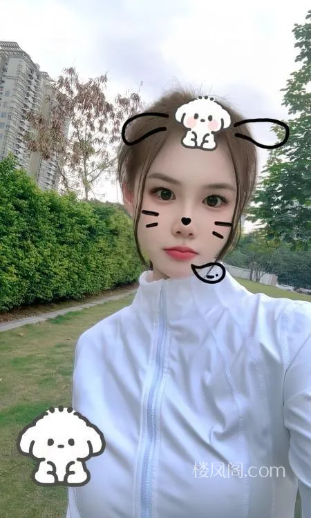 全国免费楼凤资源