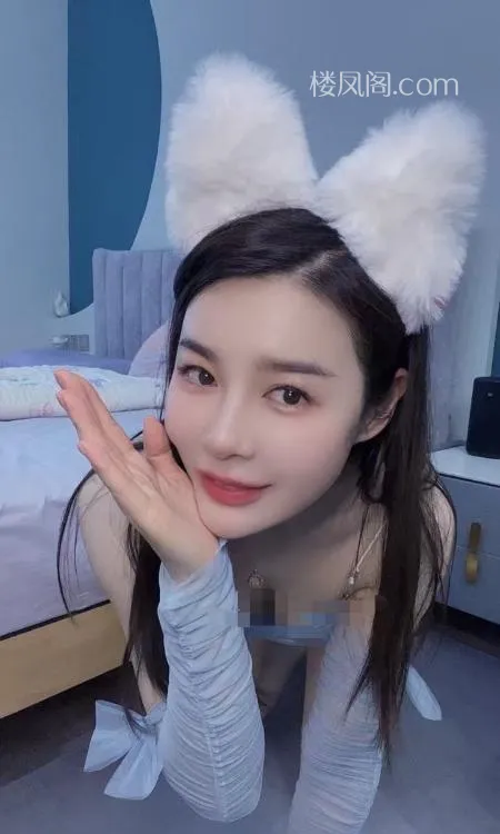 全国免费楼凤资源