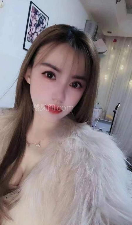 全国免费楼凤资源