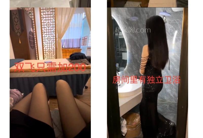 全国免费楼凤资源