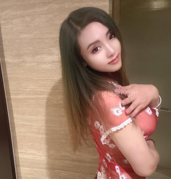 全国免费楼凤资源