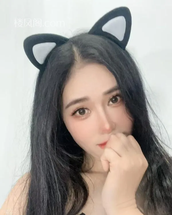 全国免费楼凤资源