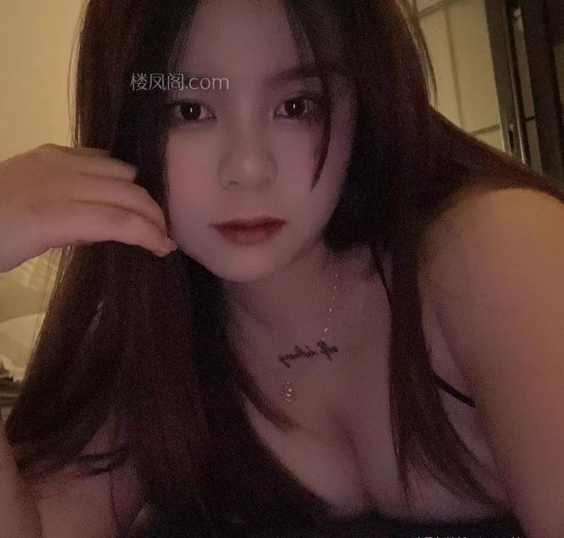 全国免费楼凤资源