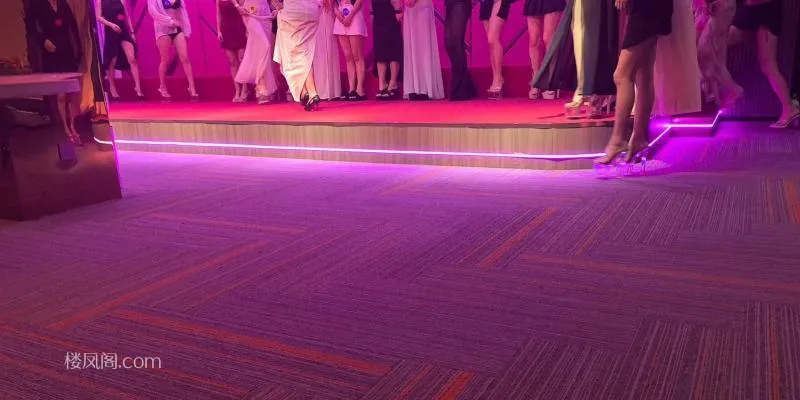 全国免费楼凤资源