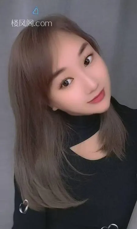 全国免费楼凤资源