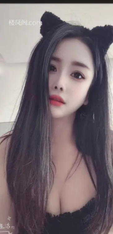 全国免费楼凤资源