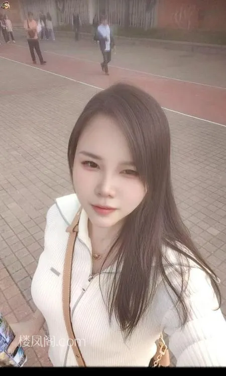 全国免费楼凤资源