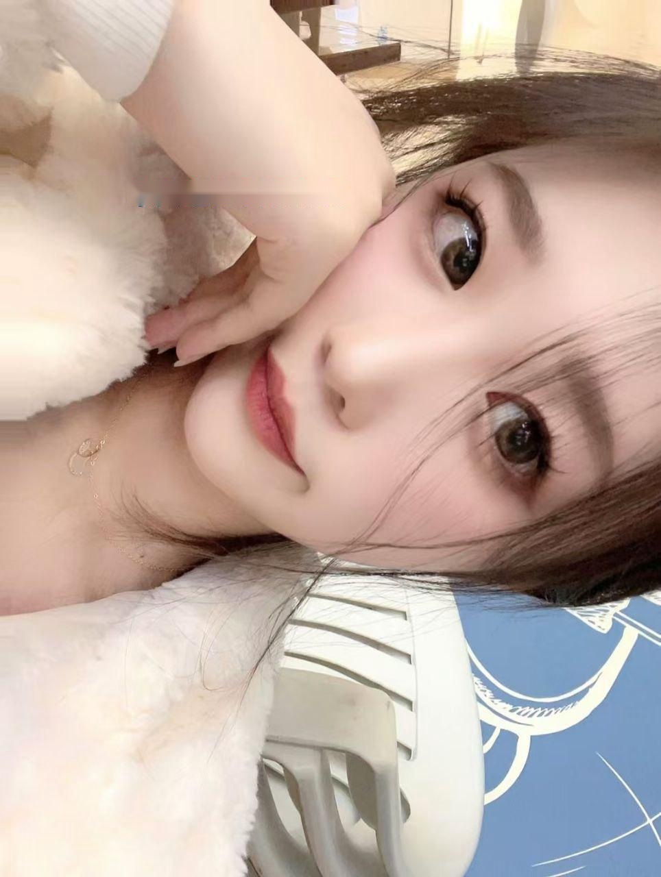 全国免费楼凤资源