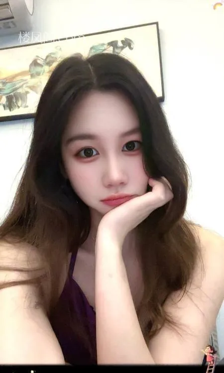 全国免费楼凤资源