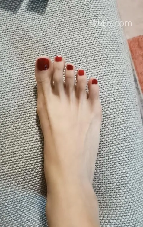 全国免费楼凤资源