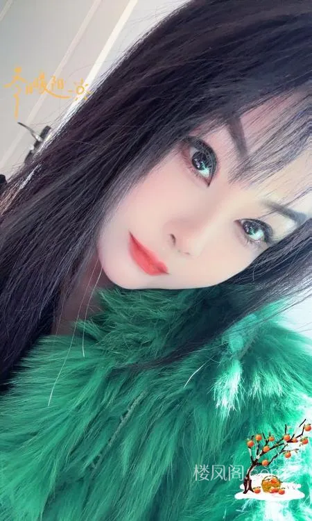 全国免费楼凤资源