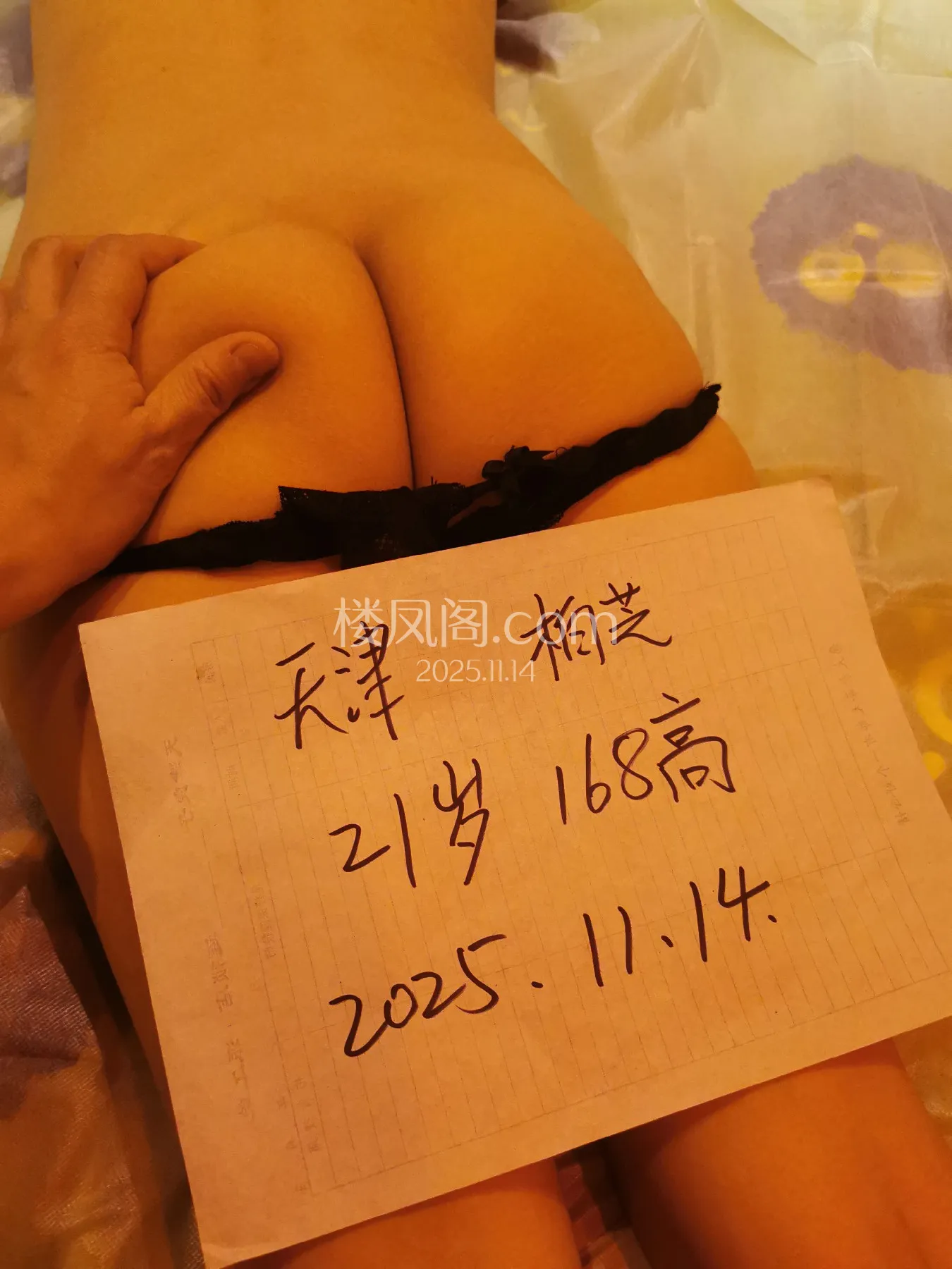 全国免费楼凤资源