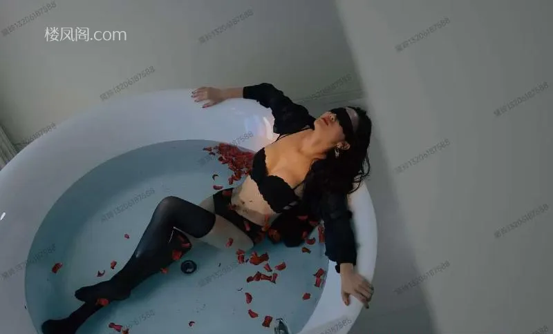 全国免费楼凤资源