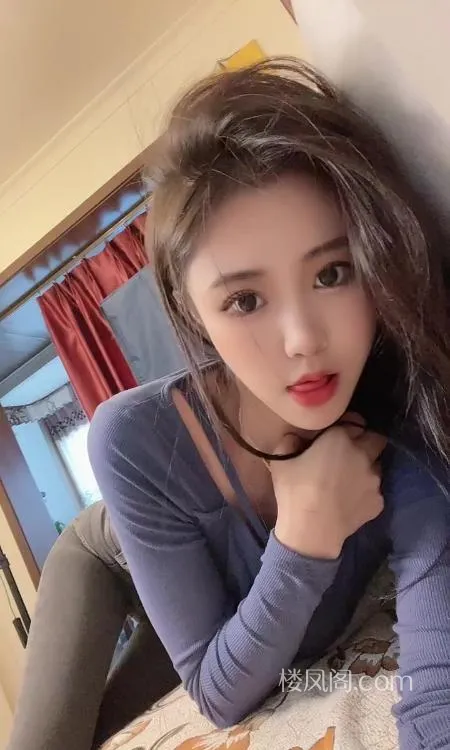 全国免费楼凤资源