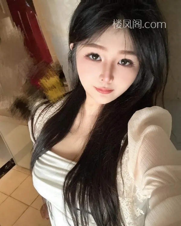 全国免费楼凤资源