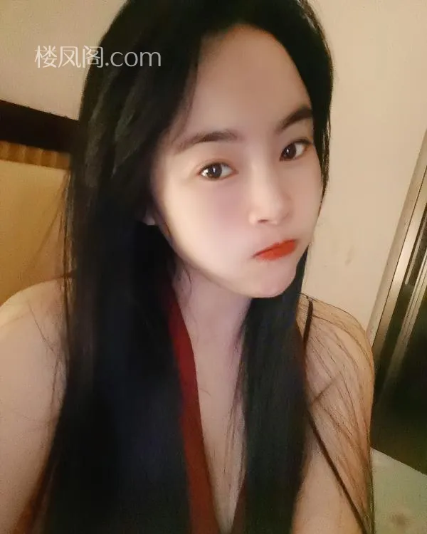 全国免费楼凤资源