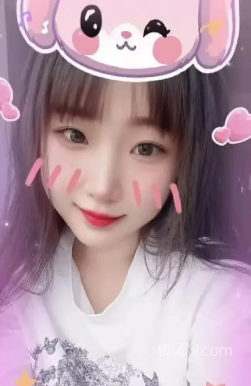 全国免费楼凤资源