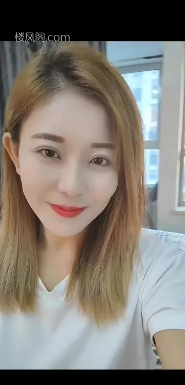 全国免费楼凤资源