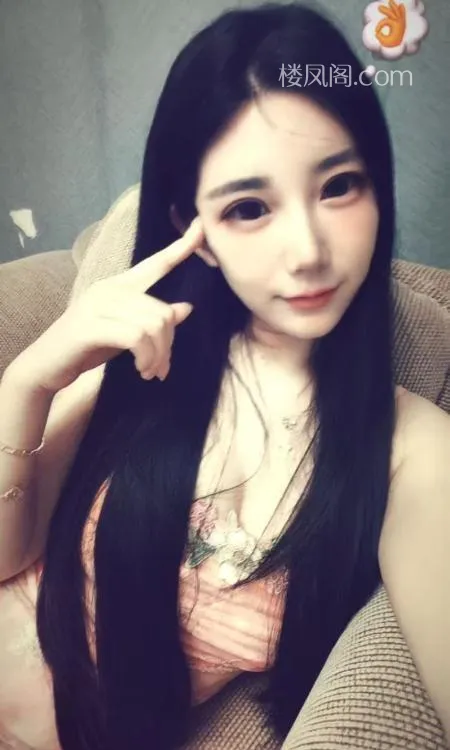 全国免费楼凤资源