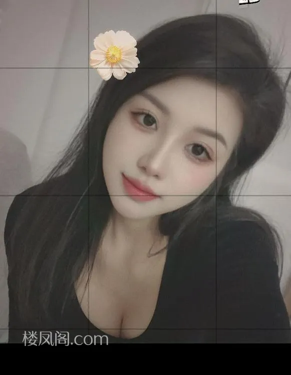 全国免费楼凤资源