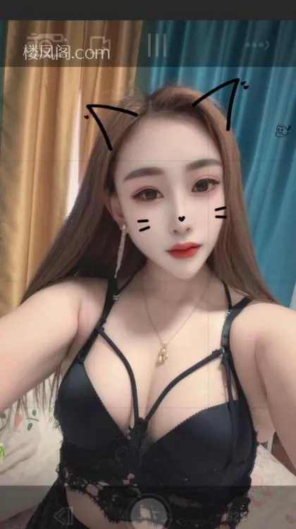 全国免费楼凤资源