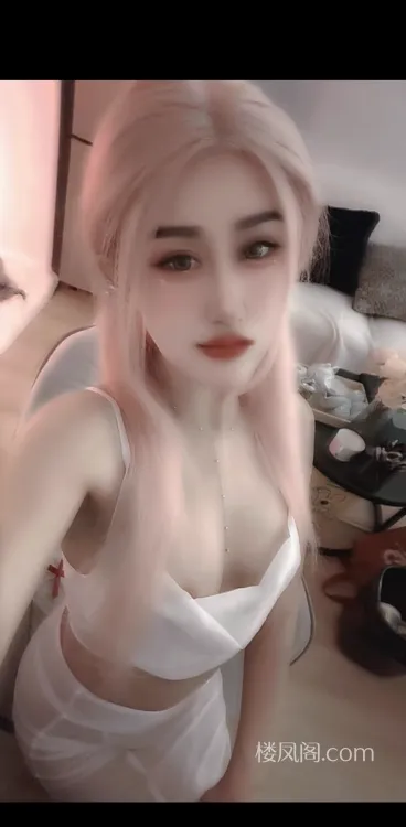 全国免费楼凤资源