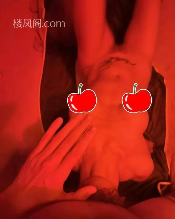 全国免费楼凤资源