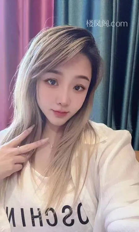 全国免费楼凤资源