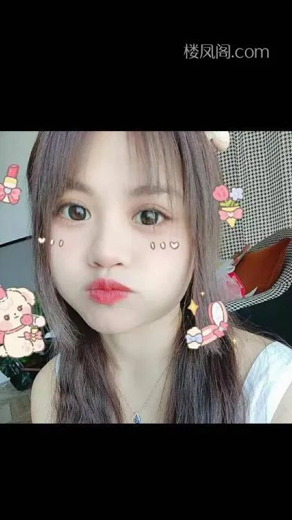 全国免费楼凤资源