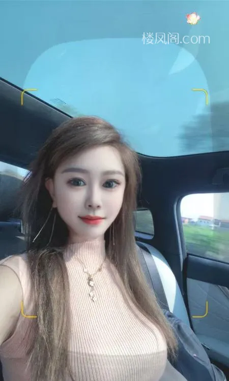 全国免费楼凤资源