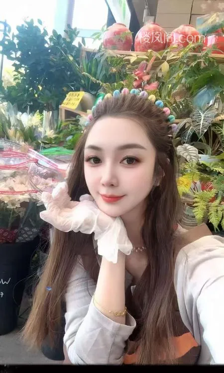 全国免费楼凤资源