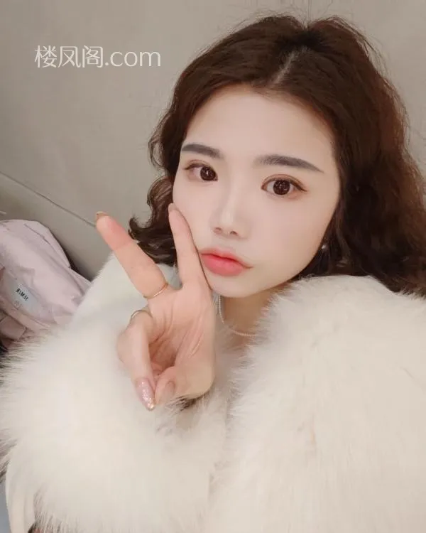 全国免费楼凤资源