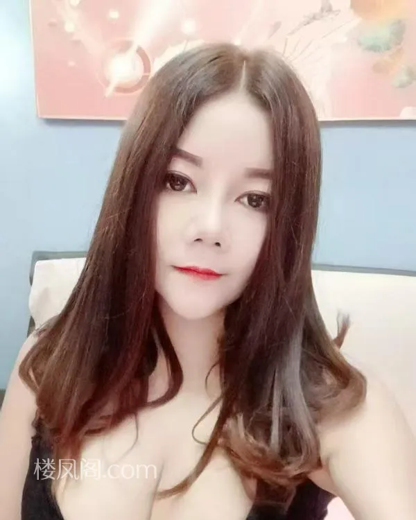 全国免费楼凤资源