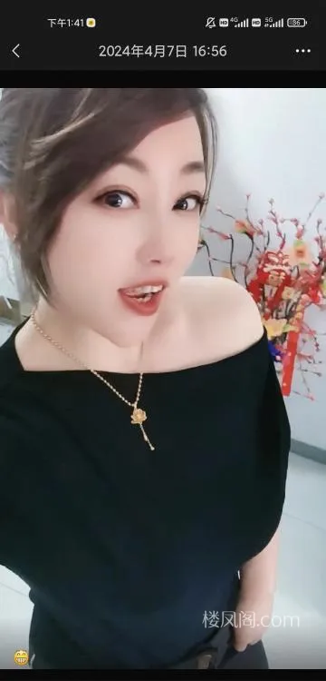 全国免费楼凤资源