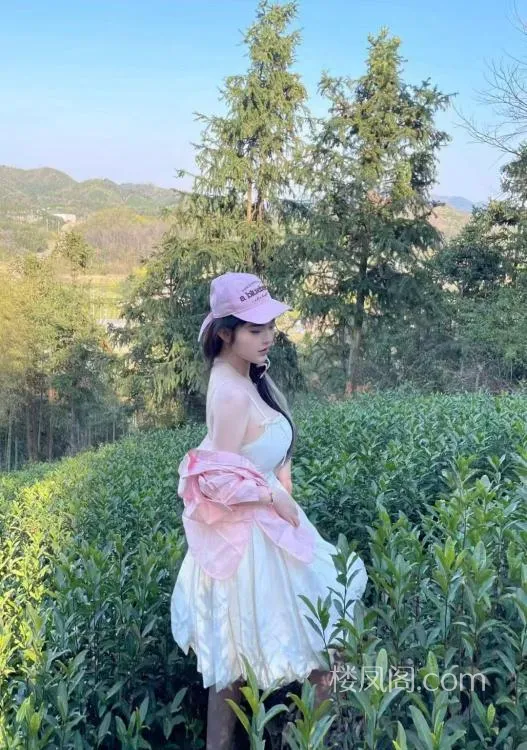 全国免费楼凤资源