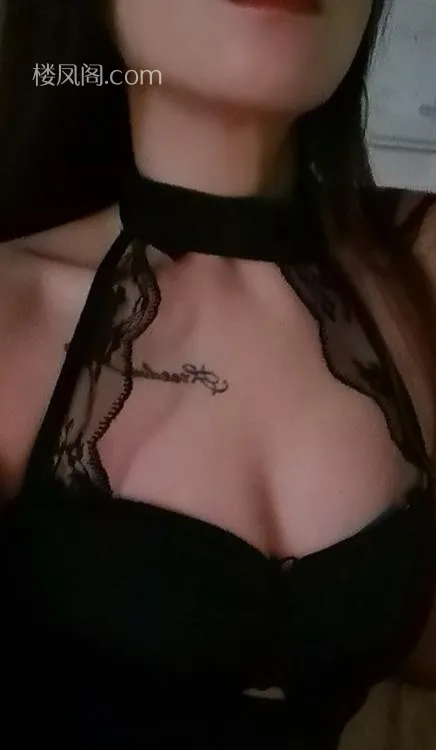 全国免费楼凤资源