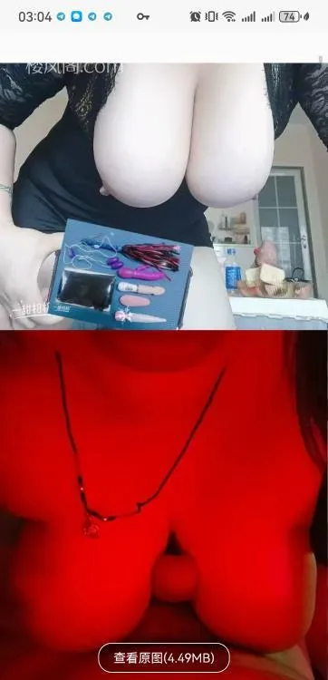 全国免费楼凤资源