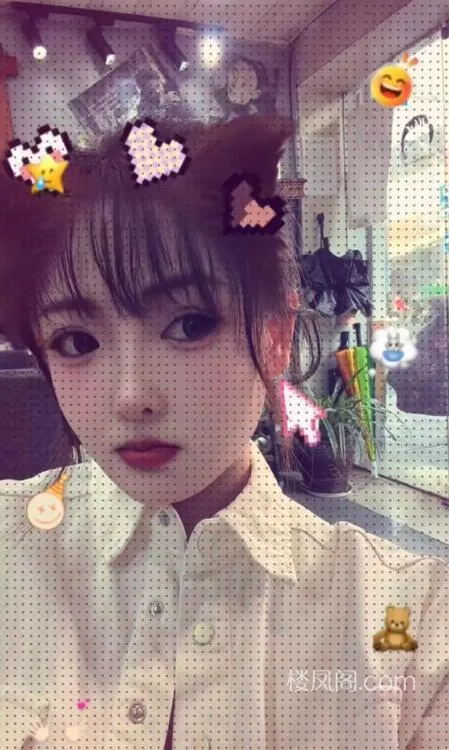 全国免费楼凤资源