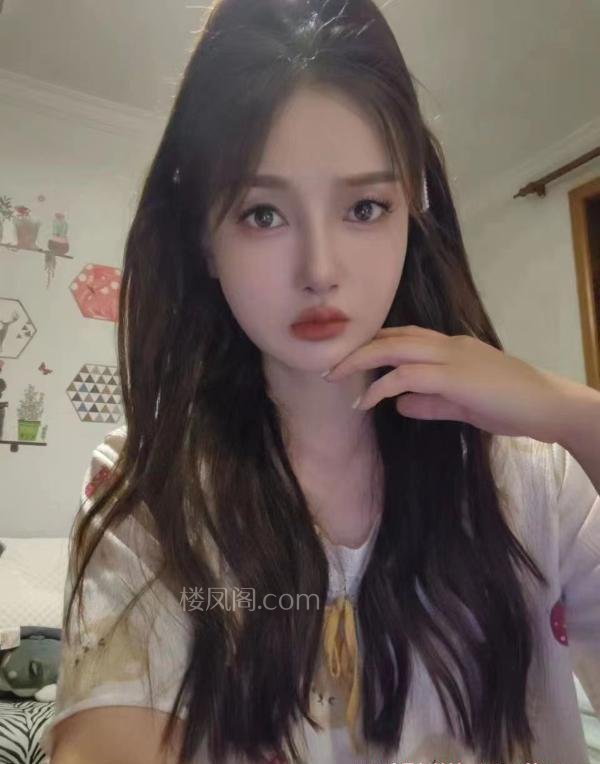 全国免费楼凤资源