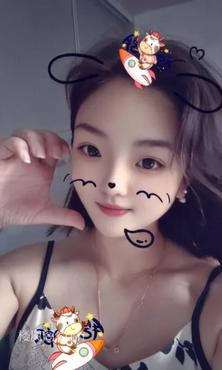 全国免费楼凤资源