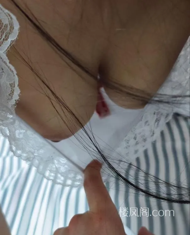 全国免费楼凤资源